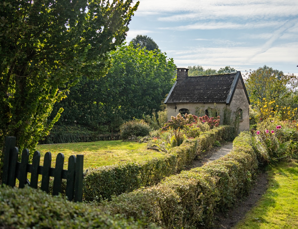 A tidy cottage garden with a clipped hedge, mown grass and a picket gate