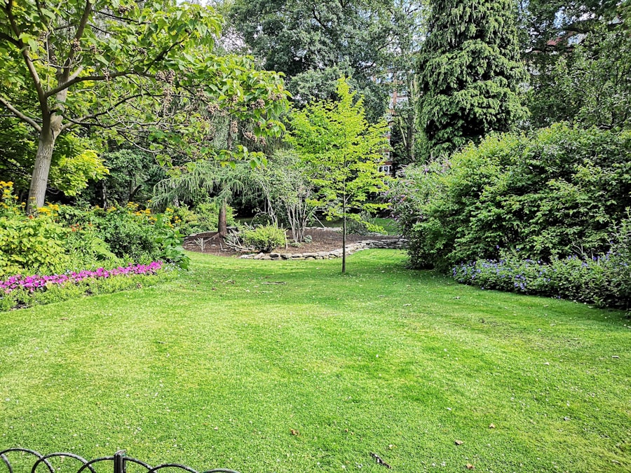 A mown back garden lawn with planted borders and shrubs