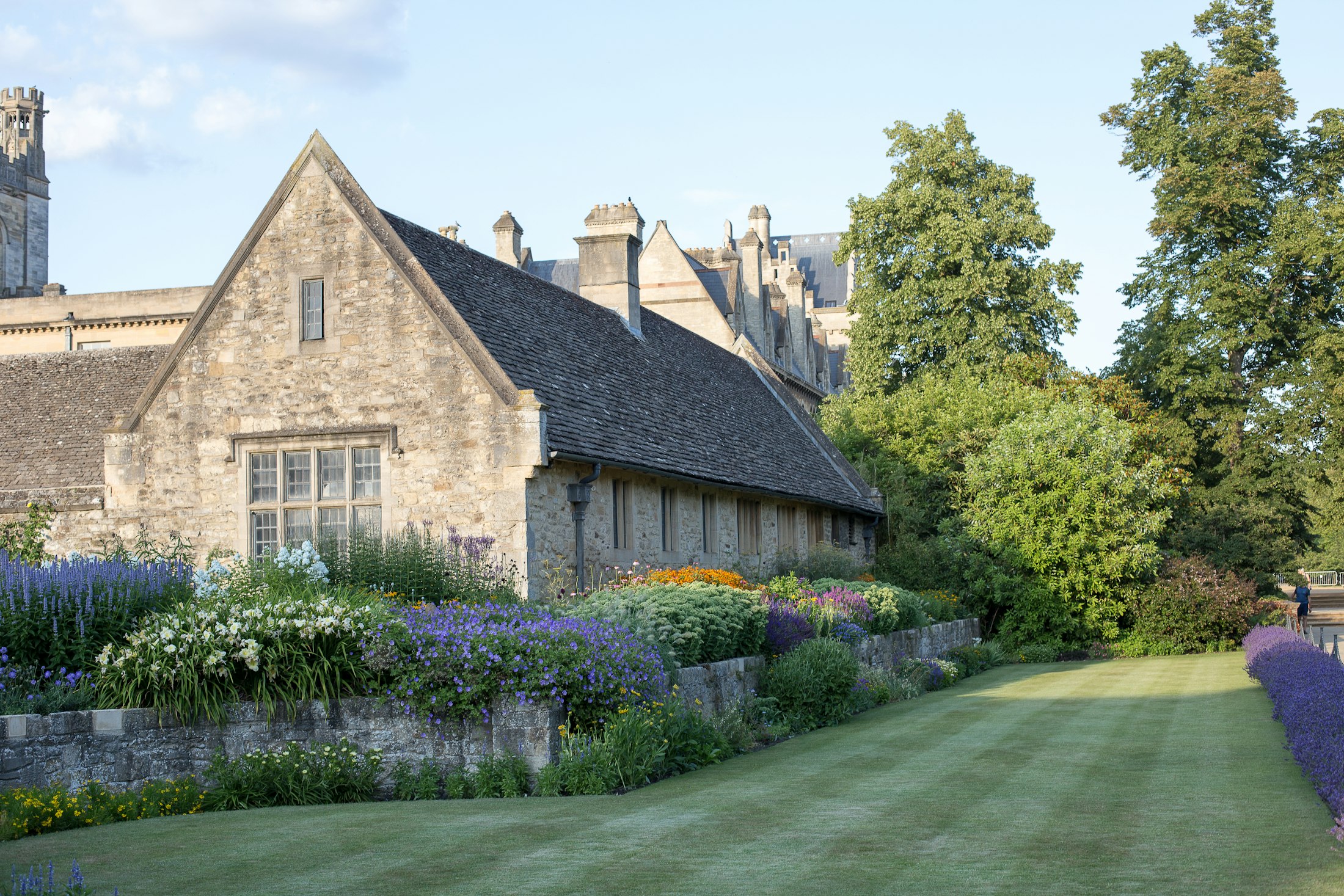 A mown lawn with lavender borders in front of a stone cottage