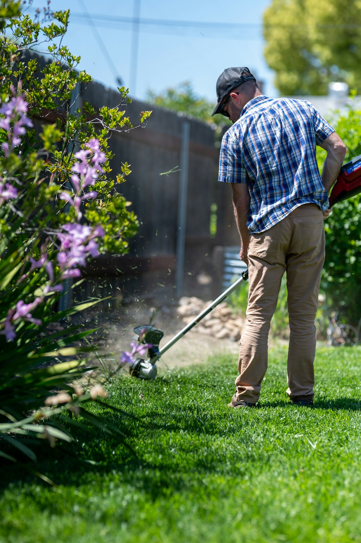 A gardener strimming the grass edges beside a flower border