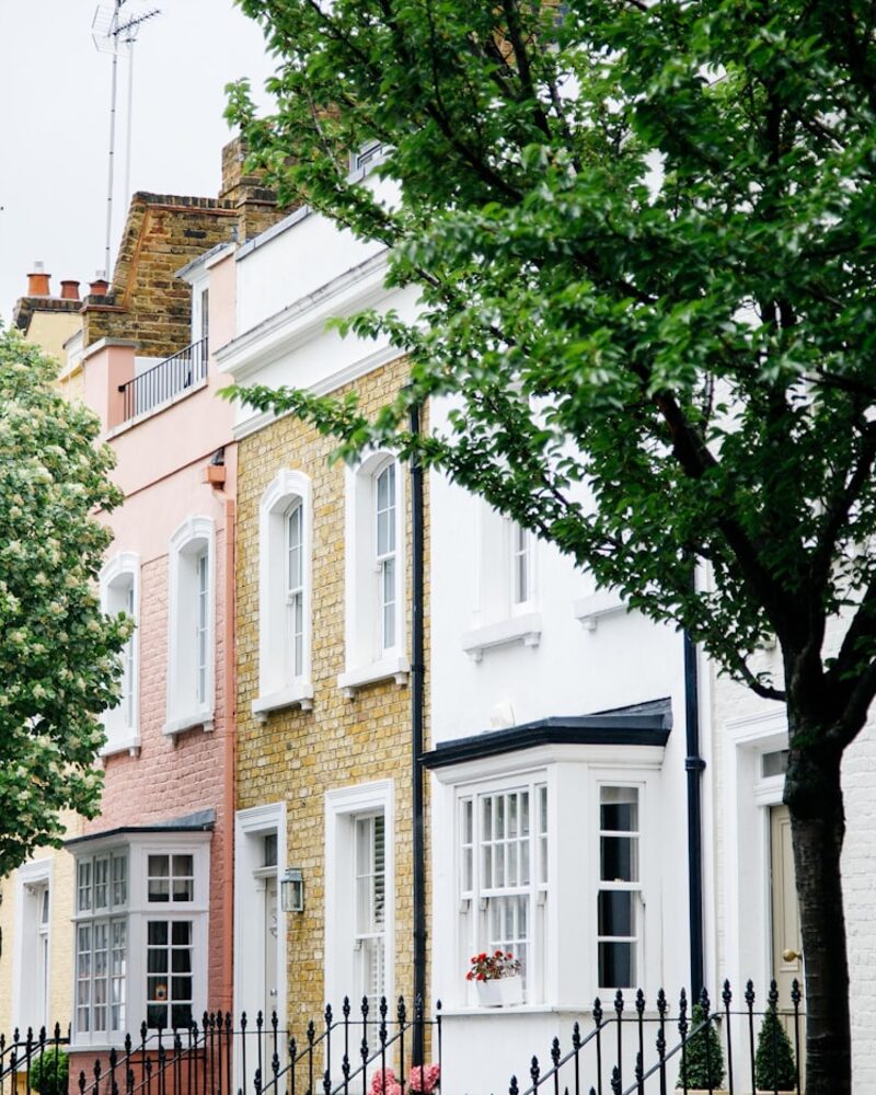 Leafy street of painted terraced houses